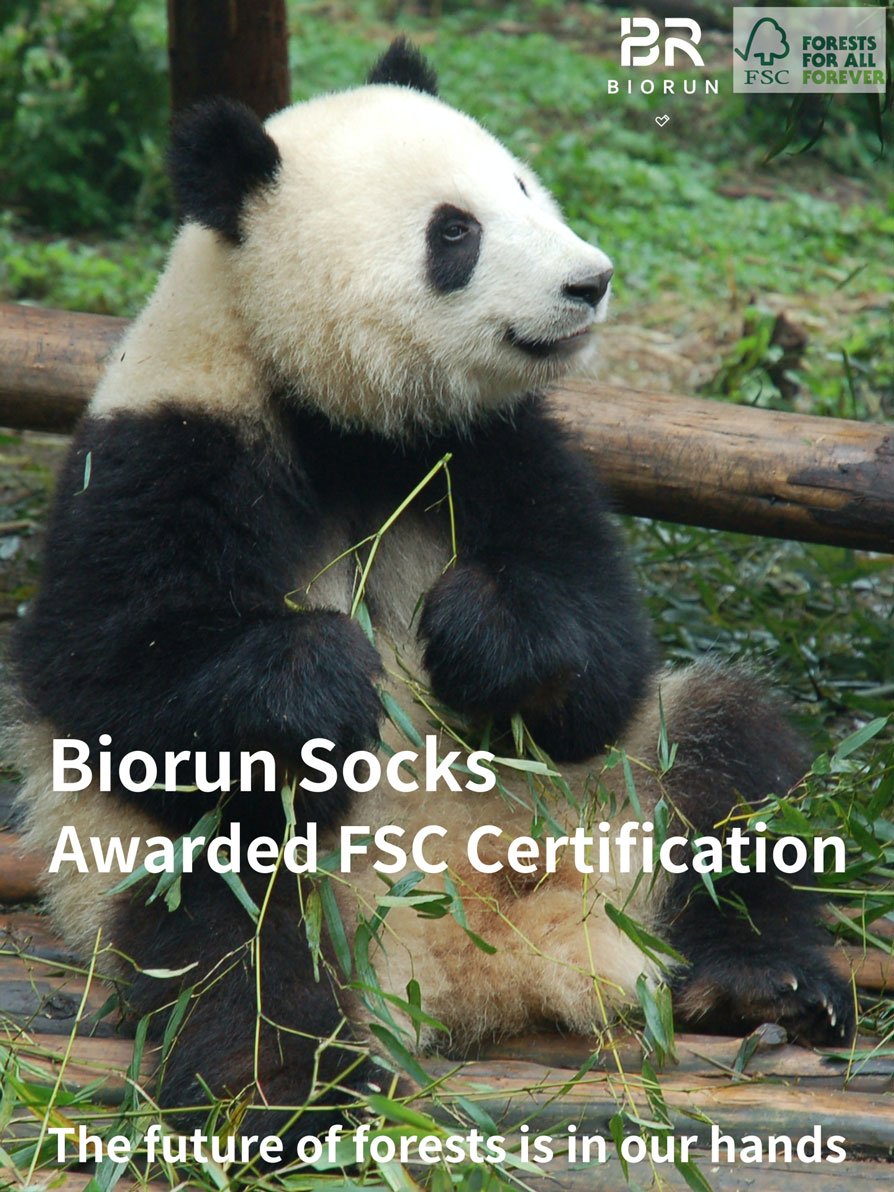 Biorun Group Achieves FSC Certification Biorun Group Achieves FSC Certification