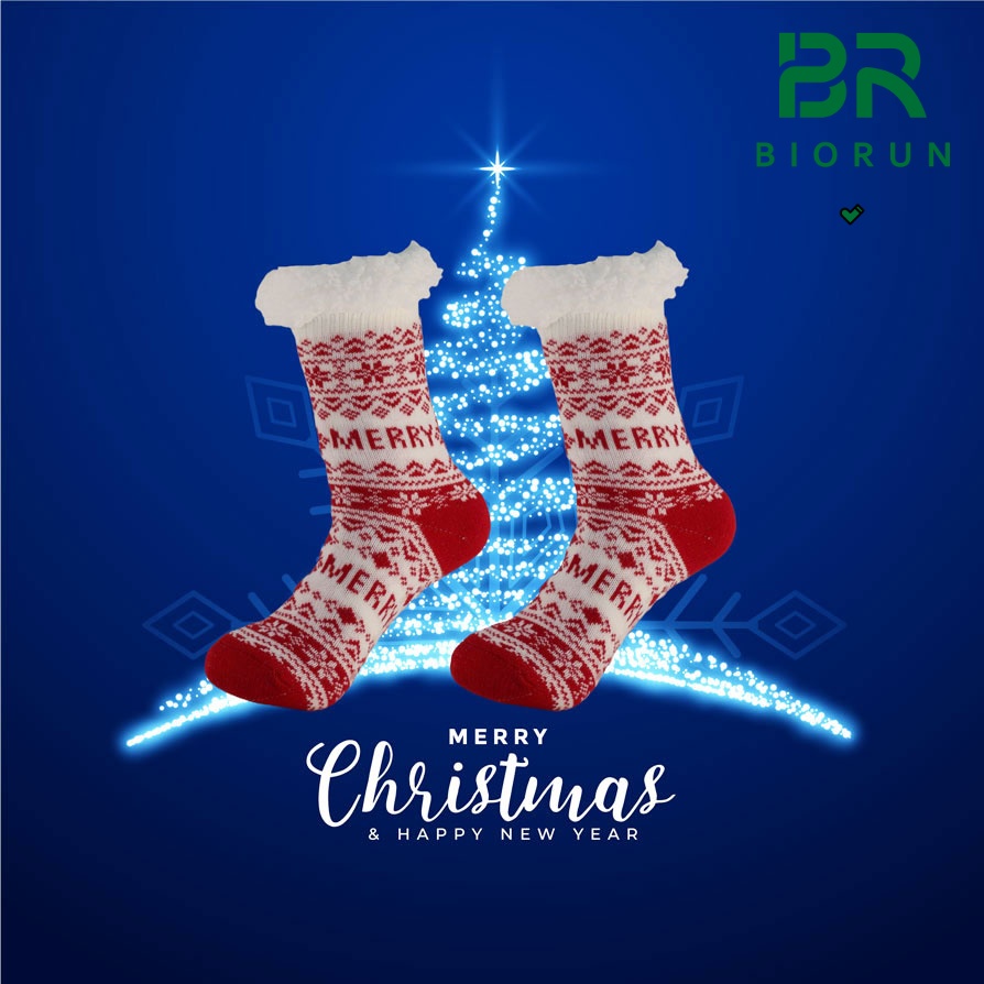 Holiday slipper socks